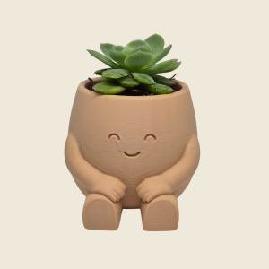 Little Planter